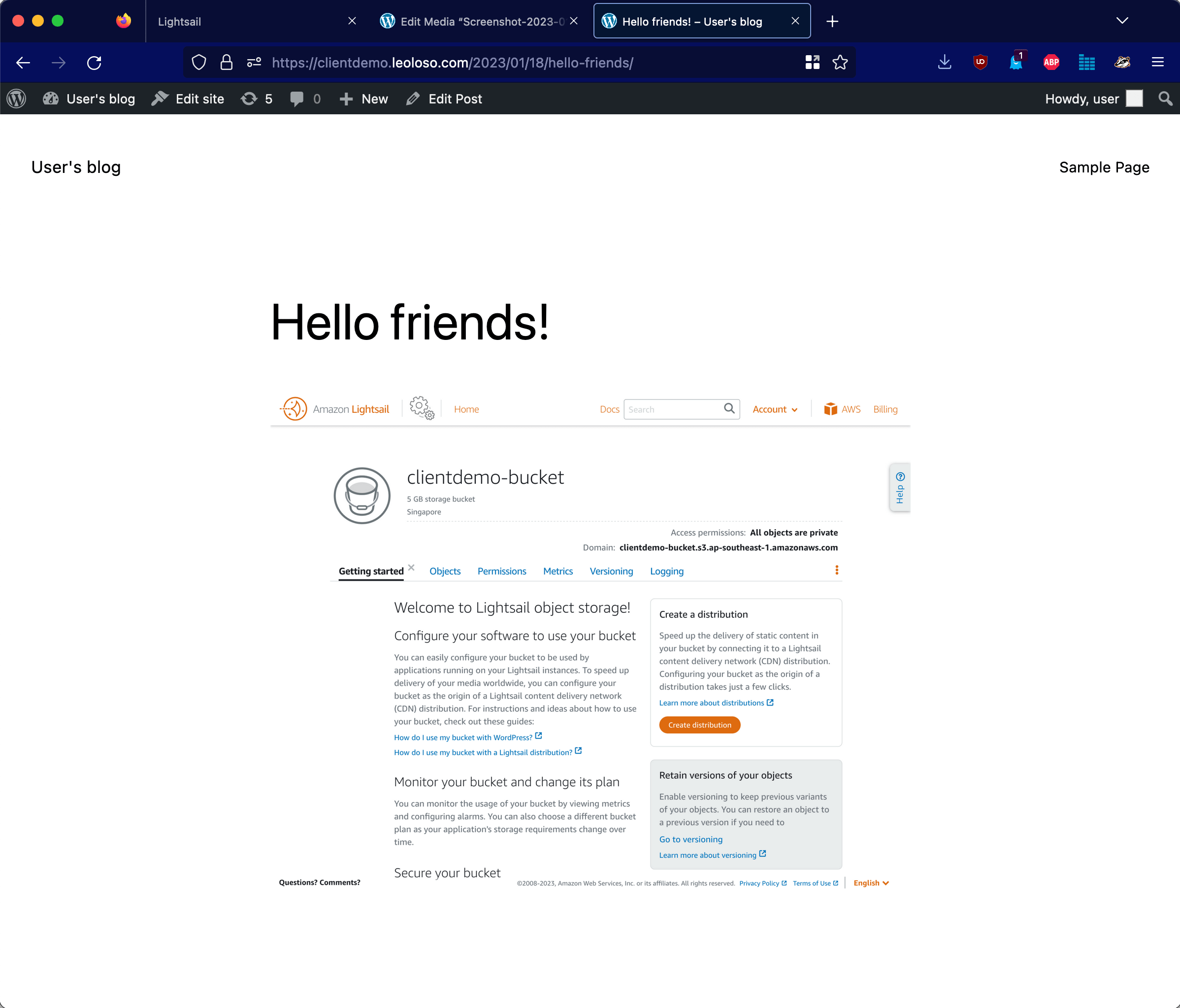 WordPress blog post with image