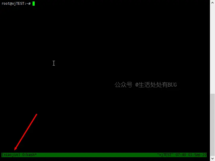 Tmux-demo-image (2)