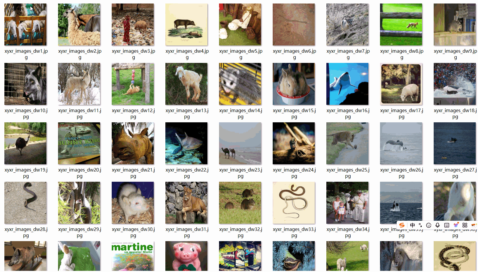 13種動物數據集9800張VOC+YOLO格式_數據集_02