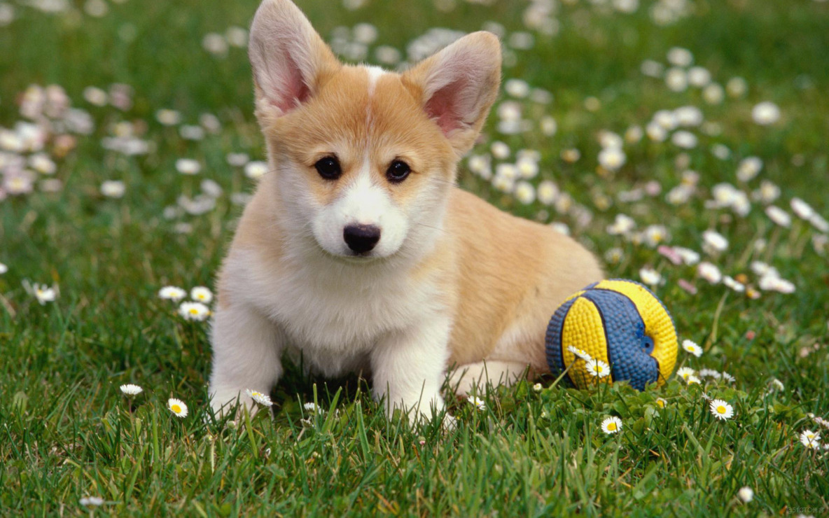 windows系統中快速刪除node_modules文件_緩存