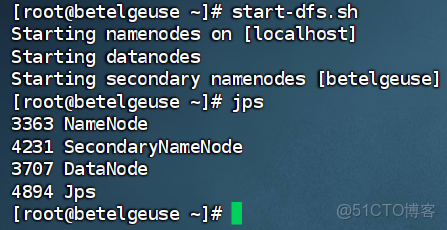 熟練掌握HDFS的Shell訪問和JavaAPI訪問_HDFS