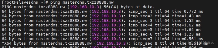 CentOS-Stream-10 搭建BIND服務器之主從服務器同步_bind服務器_32
