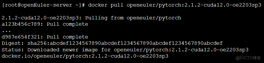 基於openEuler操作系統上的AI圖像分類應用開發實操與測試_開發環境_06