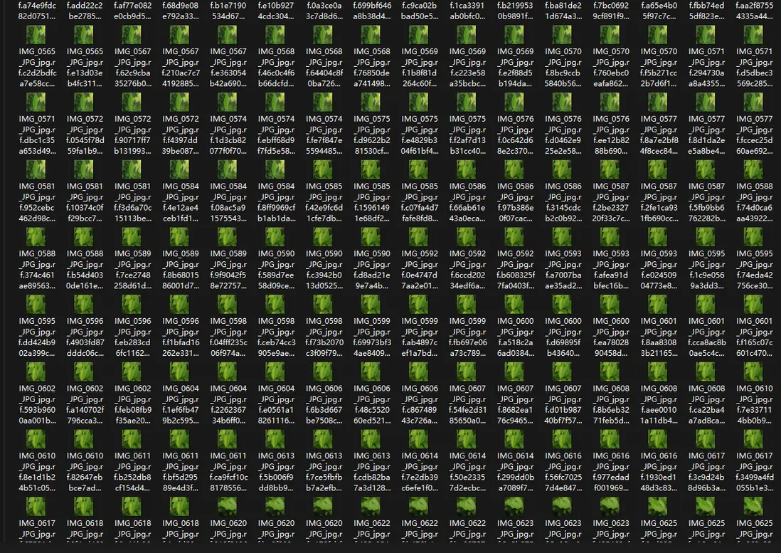 在這裏插入圖片描述