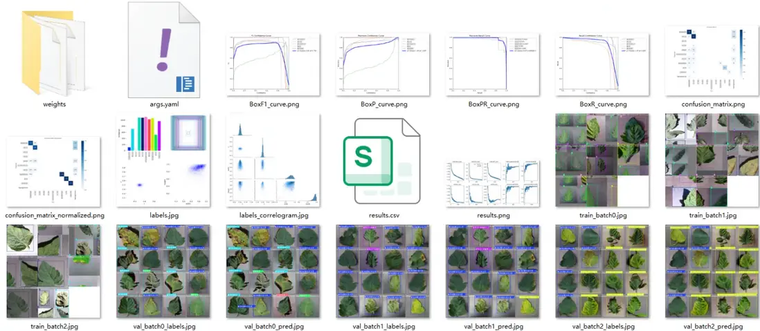 image-20251107210012432