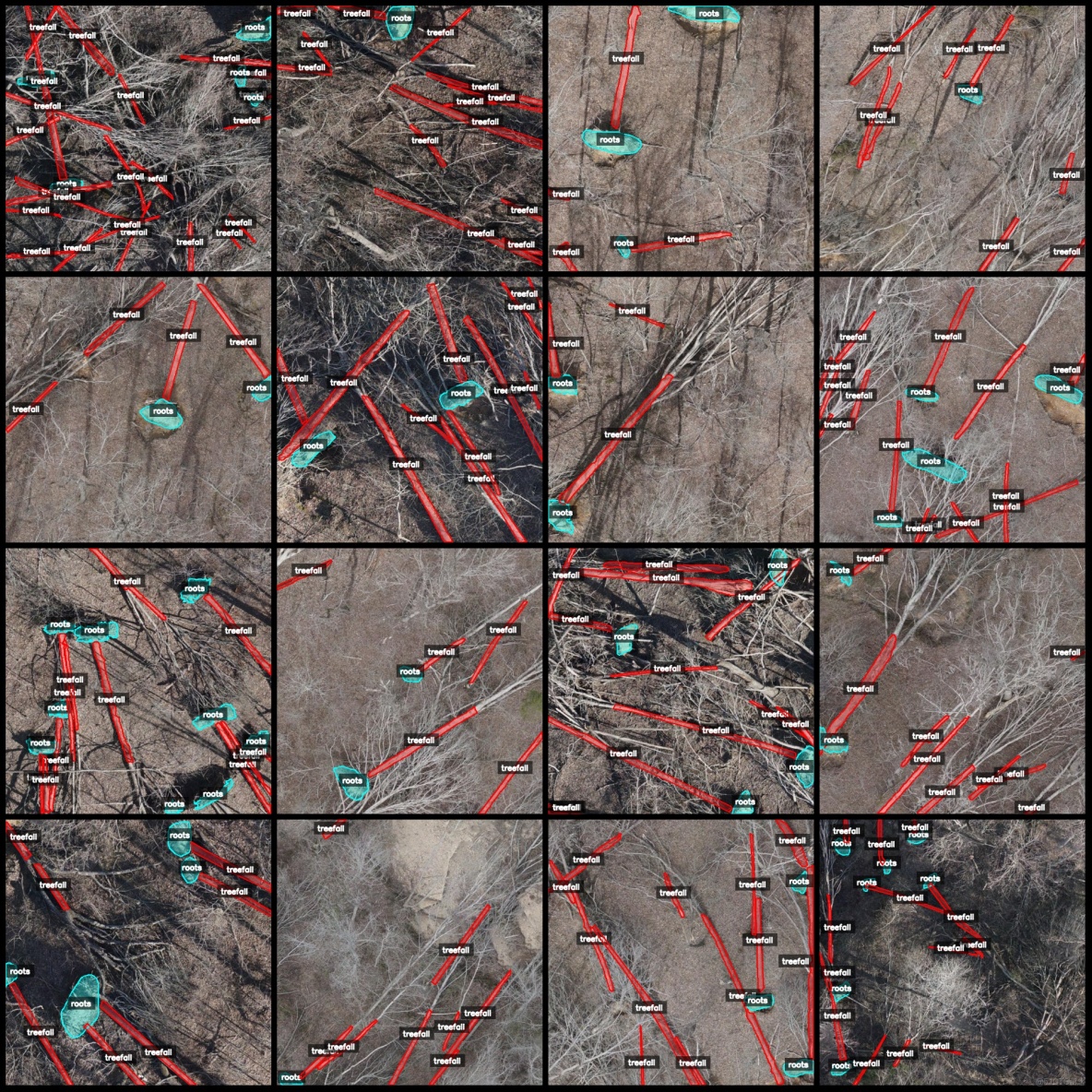 無人機視角森林倒樹識別分割數據集labelme格式5018張2類別_無人機_04