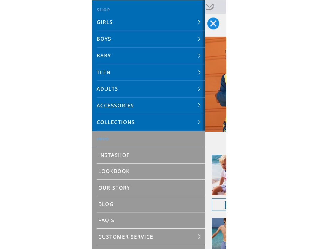 A screenshot of the burger menu with different colors between catalog and information categories
