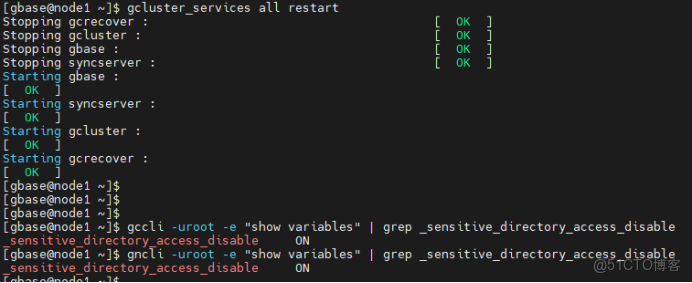 南大通用GBase 8a_SENSITIVE_DIRECTORY_ACCESS_DISABLE 參數介紹_默認值_11