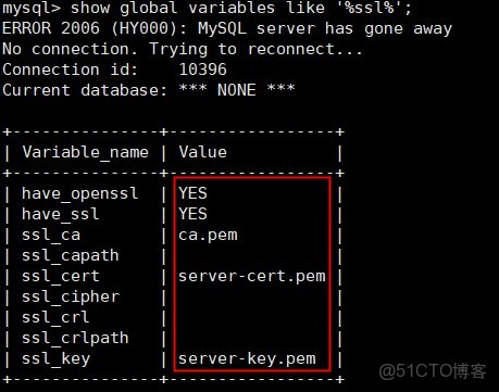 hadoop3x 兼容的hive_hive_04