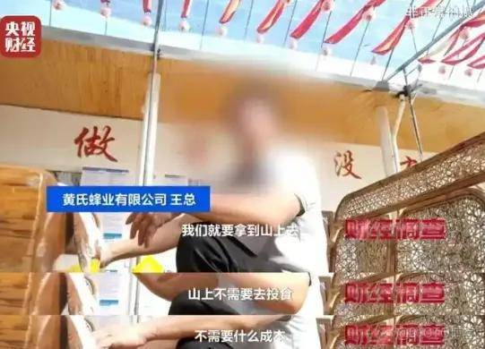 上游6666元教養殖，下游變神藥治百病！殺人蜂騙局兩頭割……_社交媒體_04