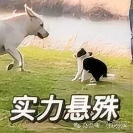 即夢4.5來襲，這次是真的進步了！儘管對標失敗~_圖像生成_09