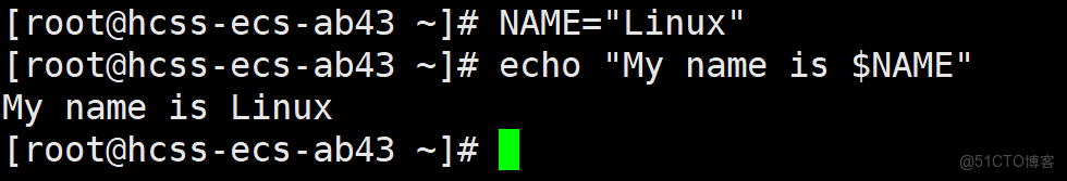 Linux管理文件與處理數據_文件描述符_07