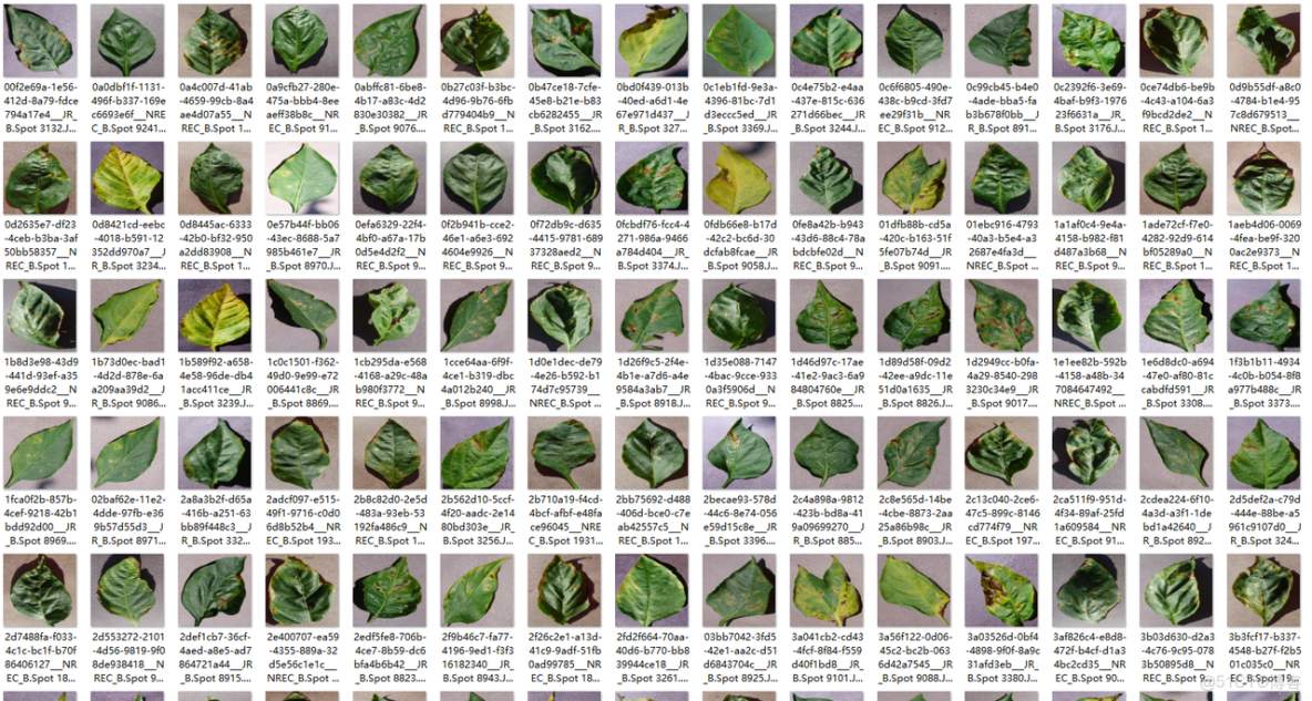 智慧農業解決方案_智慧農業的技術博客_數據_04