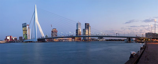 Erasmus bridge in Rotterdam