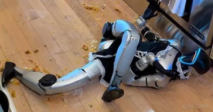 人形機器人的2025：離“進家門”還有多遠？_人形機器人_10