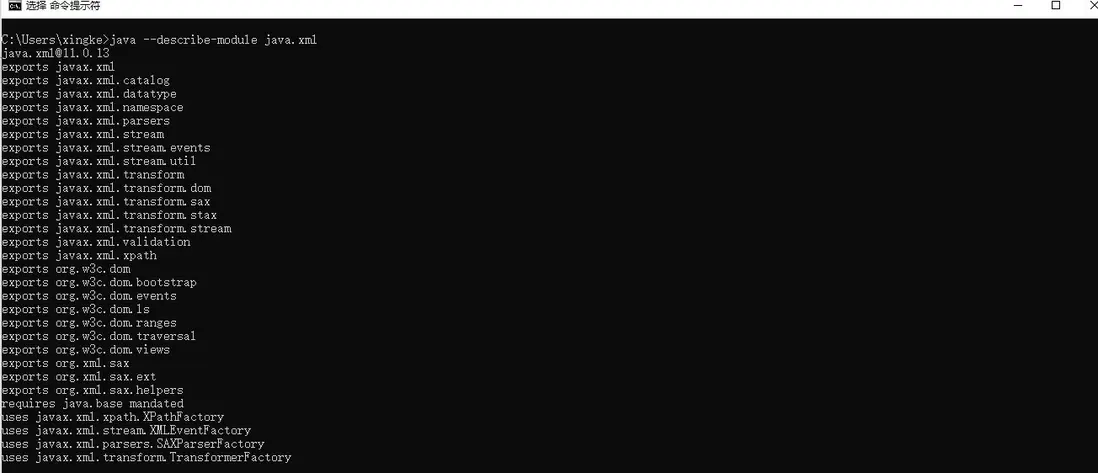 java.xml對外暴露的包