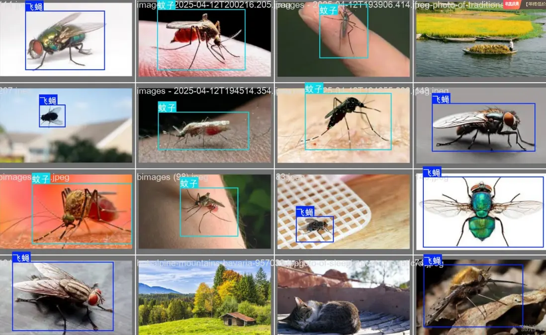 在這裏插入圖片描述