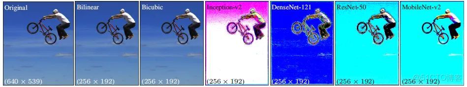 大模型 temperature 設置為0_#計算機視覺_15
