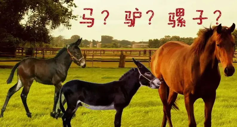 在這裏插入圖片描述