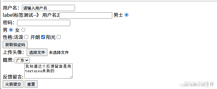 HTML入門-Java工程師必會的前端知識(1)_表單_09