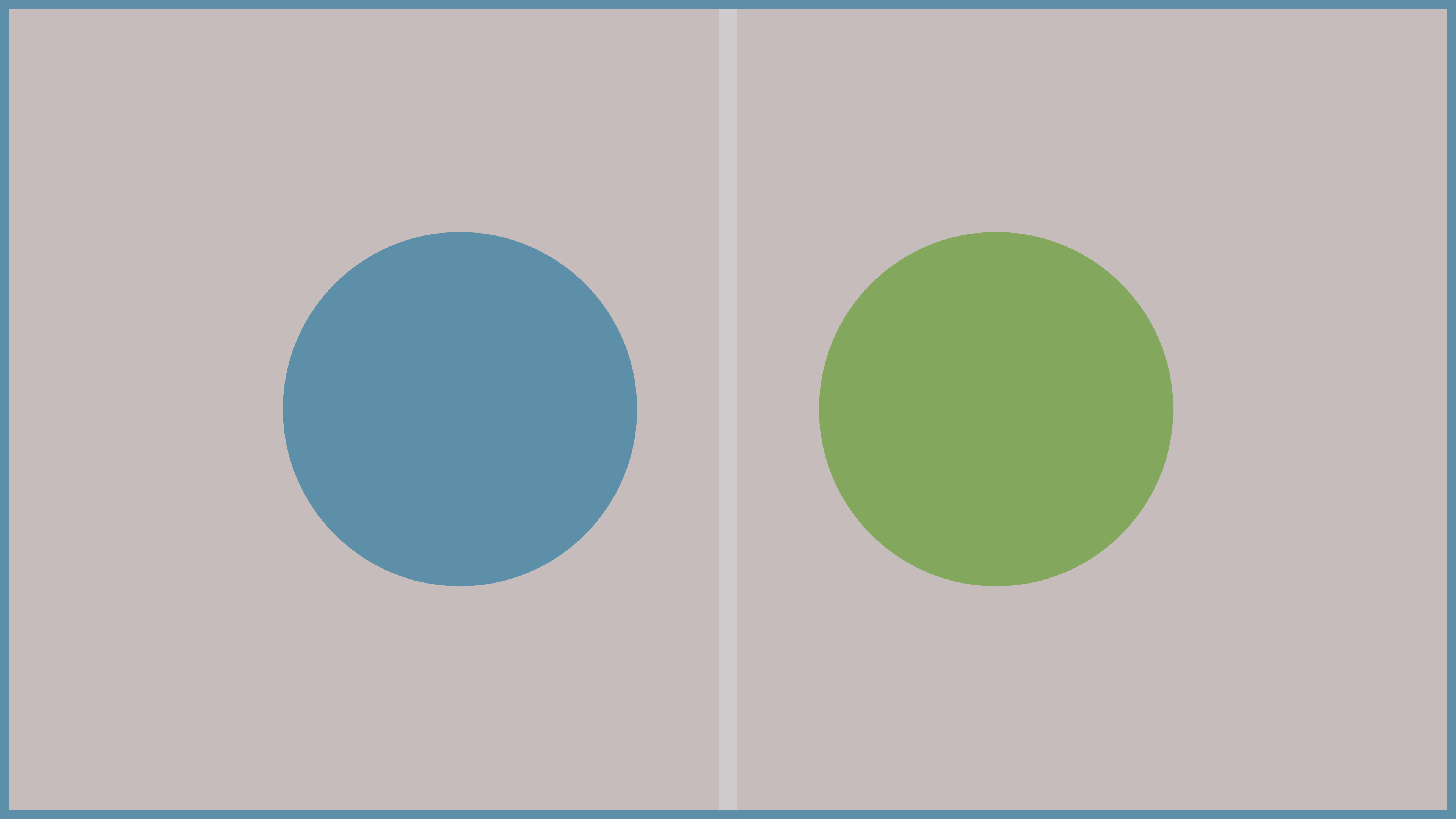 An illustration with two equal circles, and a white line between them. One of the circles is green, the other one is blue.