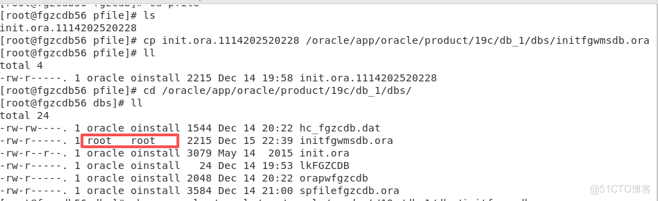 ORA-01078: failure in processing system parameters LRM-00109: could not open parameter file / 解決方法_用户組_05