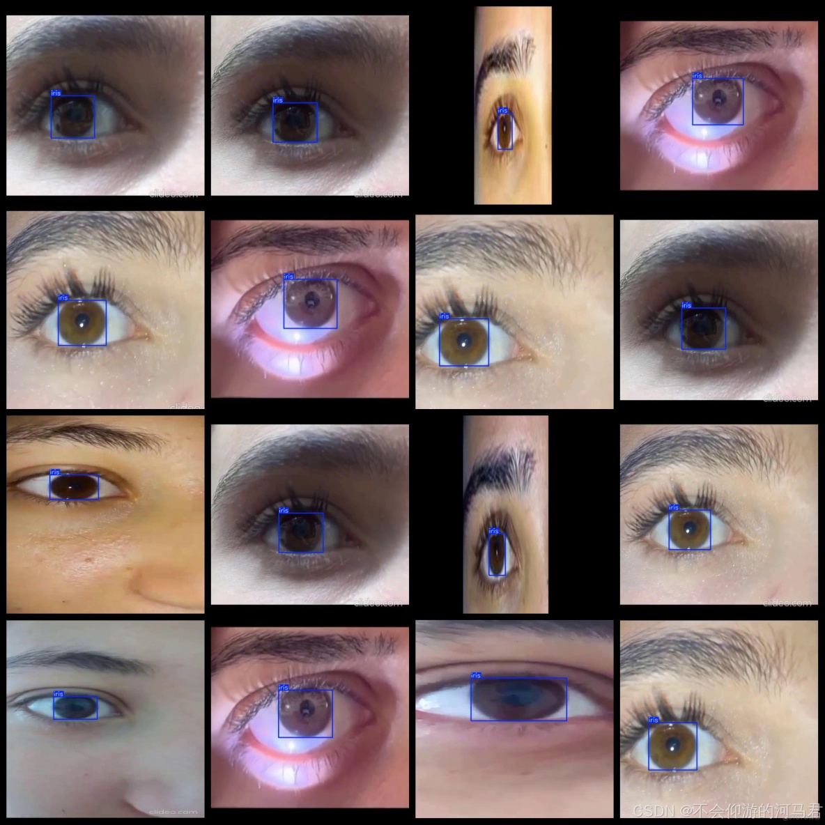 眼睛內虹膜檢測數據集1726張VOC+YOLO格式_標籤名