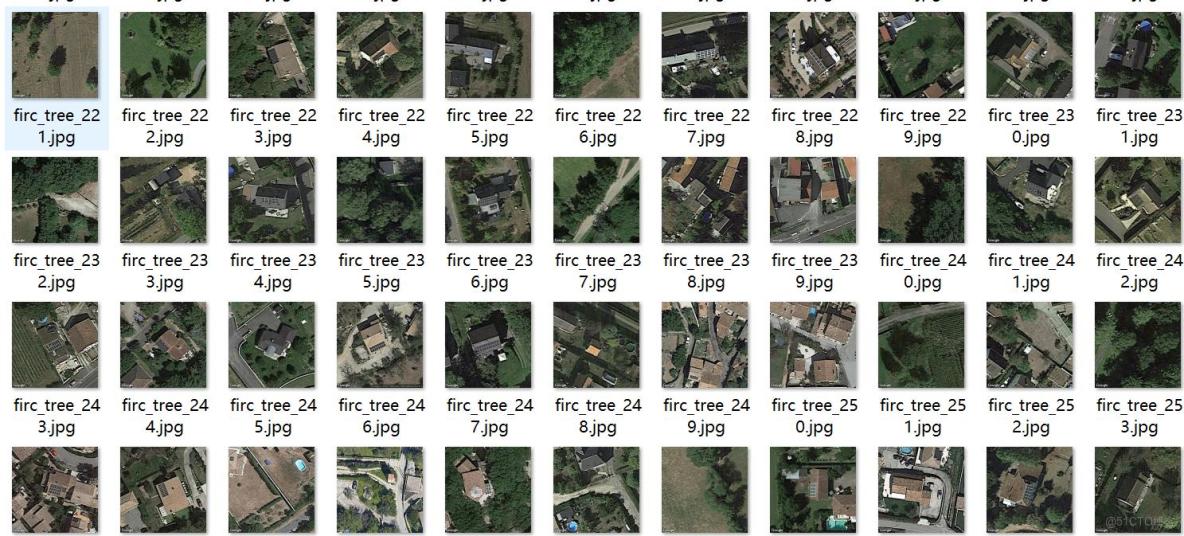 無人機視角城市道路樹木識別分割數據集labelme格式2029張1類別_json_02
