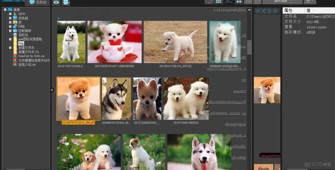 Pro版強勢來襲，強到離譜_圖片瀏覽器_05