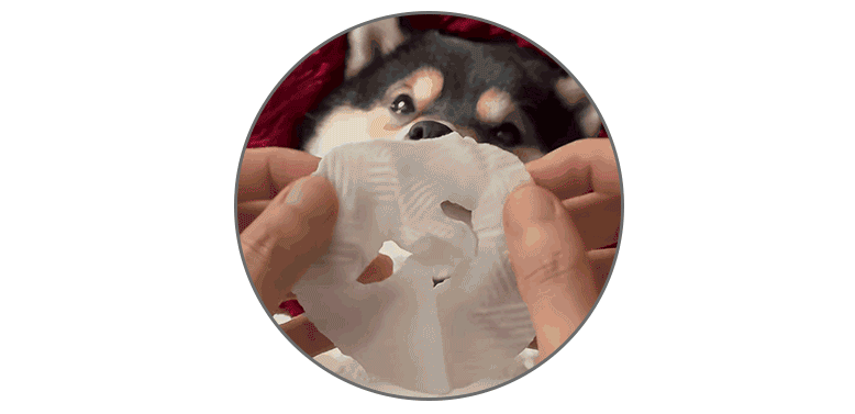 “打工人”追夢生活，寵物先行——從上海高端寵物健身房看消費升級！_寵物