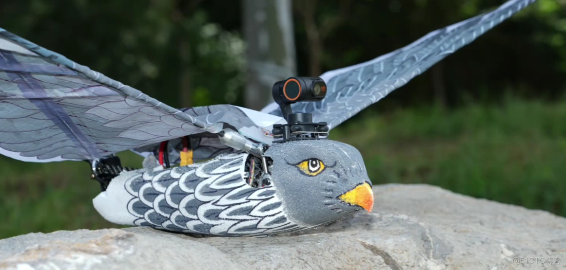 人工智能技術幫助無人機像鳥兒一樣着陸 -_#遙控器_02