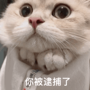 監控拍到開車是鏡像嗎_人工智能