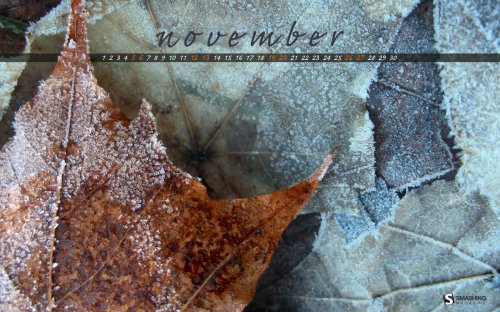 Smashing Wallpaper - november 11