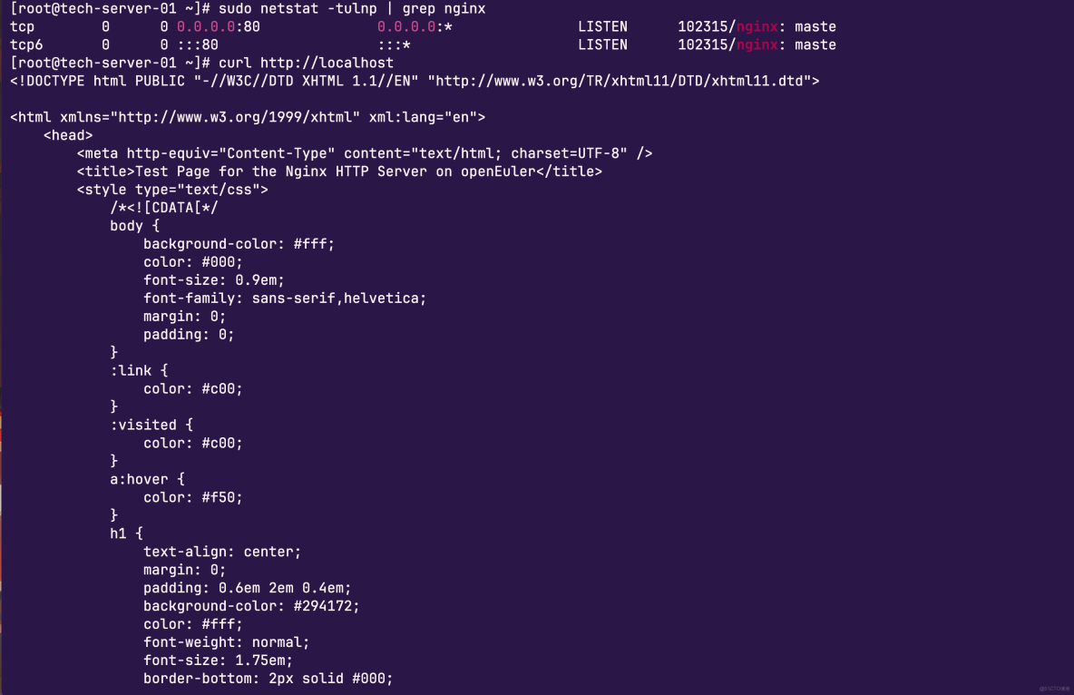 openEuler軟件生態體驗：快速部署Nginx Web服務器_配置文件_04