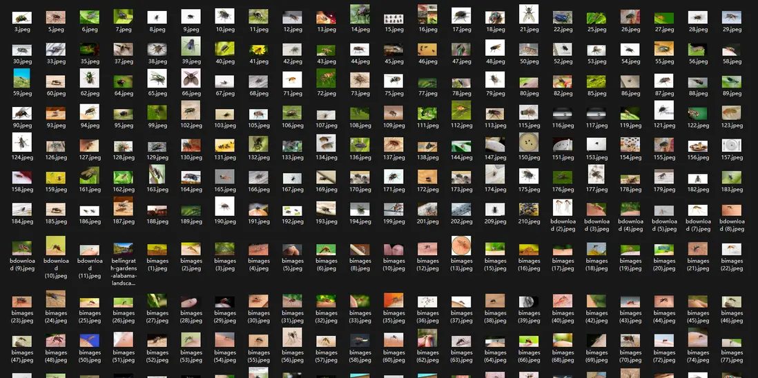 在這裏插入圖片描述