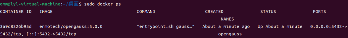 Ubuntu系統使用Docker安裝openGauss數據庫完整教程_docker_09