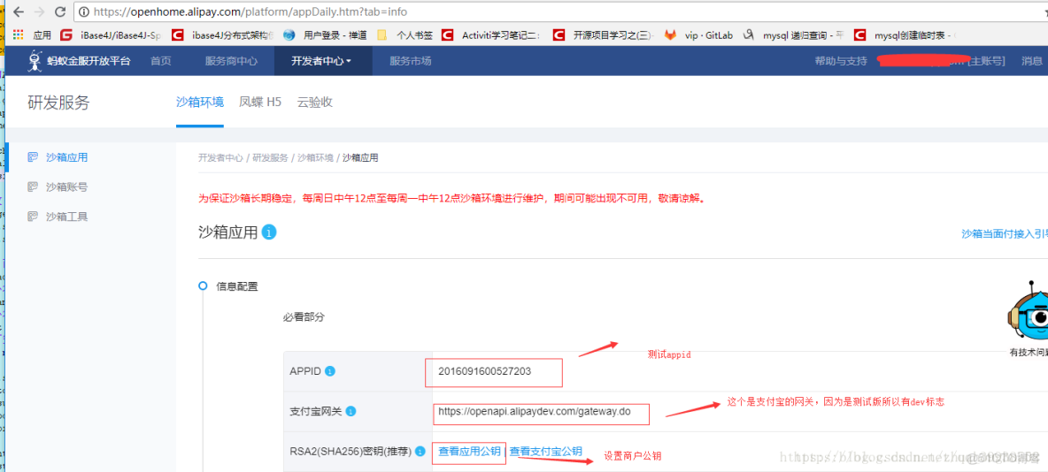 java實時獲取支付寶 流水 javaweb實現支付寶支付_java實時獲取支付寶 流水_02