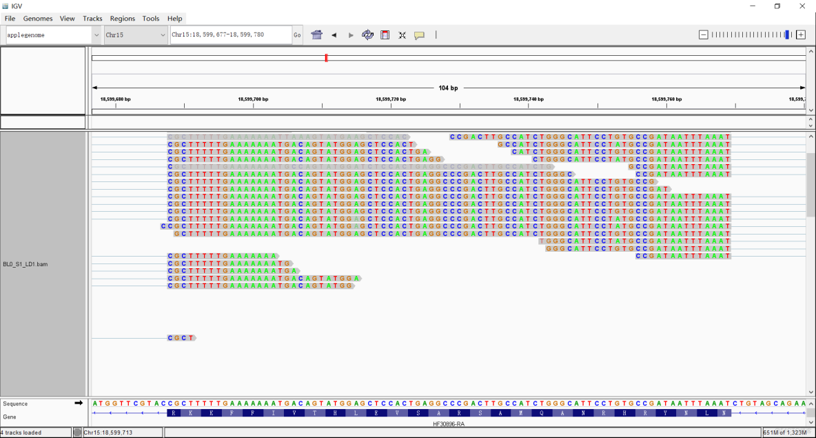轉錄組分析 | 使用STAR進行比對_Perl_08