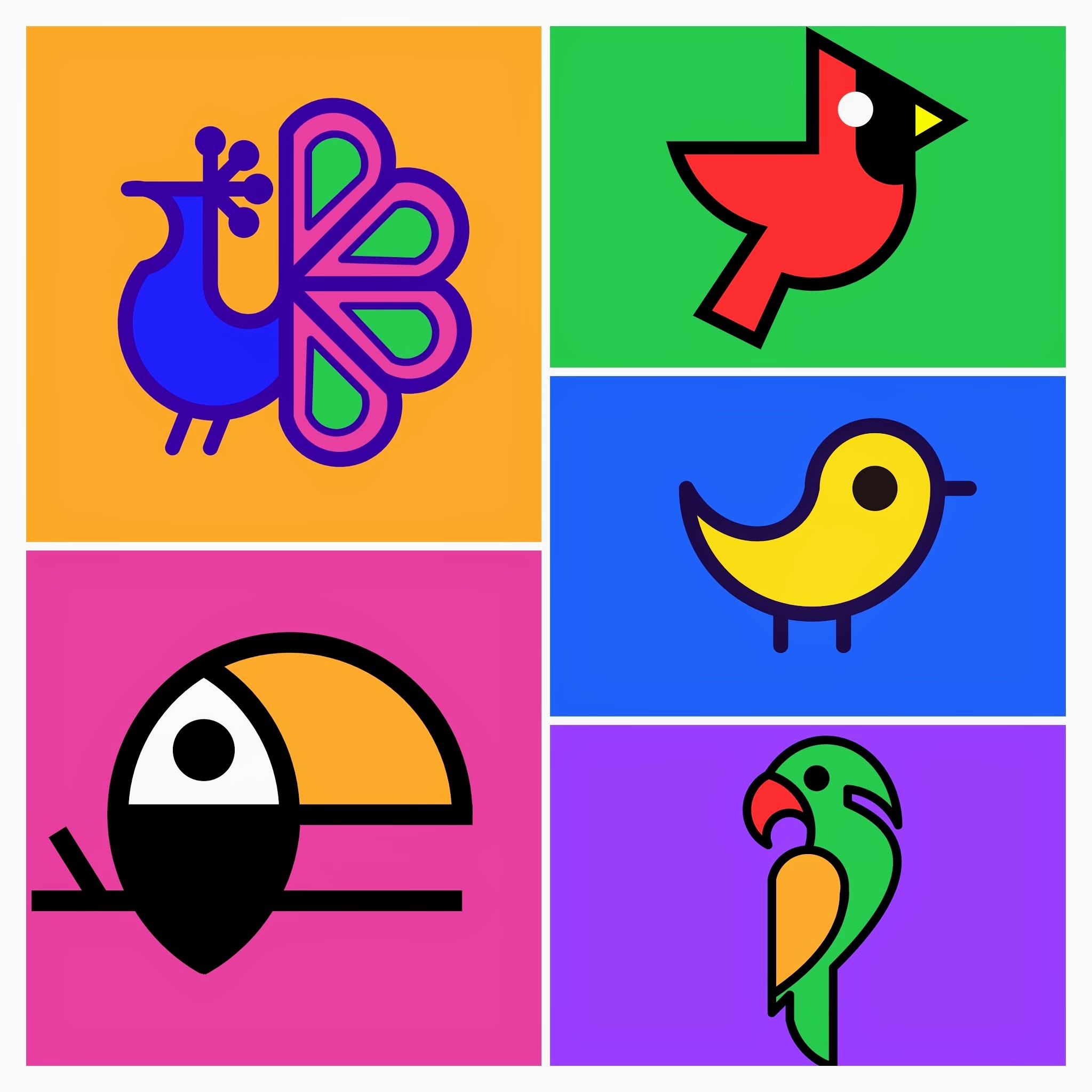 Five examples of birds drawn in SVG, including a peacock, robin, parakeet, parrot, and toucan.