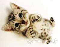 elementui中數字區間編輯控件_基線_02