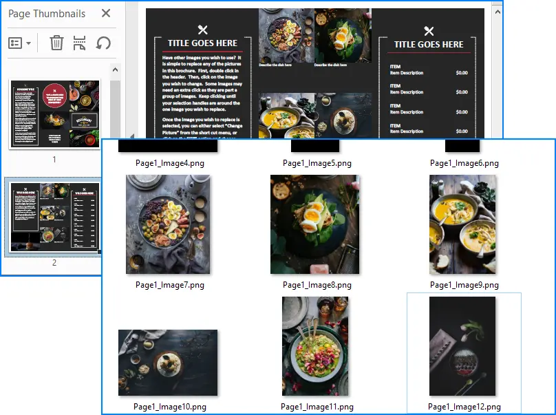 提取的PDF圖片示例