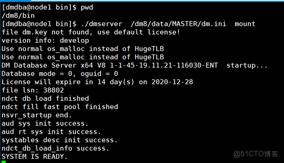 DM8 主備 docker_守護進程_14