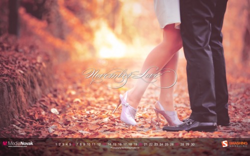 Smashing Wallpaper - november 11