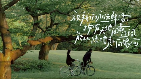 MySQL索引（一）：從數據結構到存儲引擎的實現