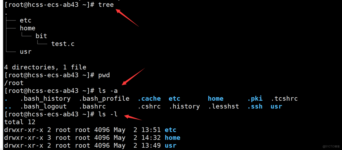 linux指令與實踐文件編寫_linux_12