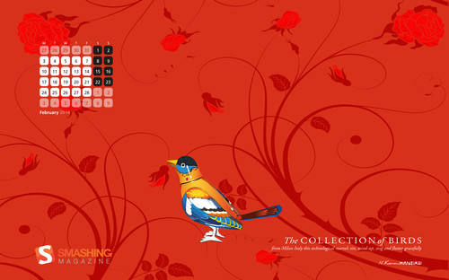 The Collection of Birds