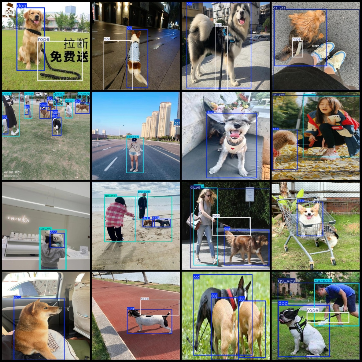 遛狗不牽繩檢測數據集VOC+YOLO格式1980張5類別_xml文件_04