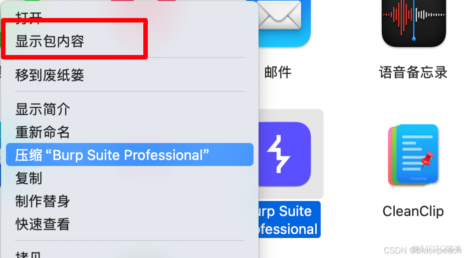 實踐篇|burpsuite安裝與使用_#網絡安全_02