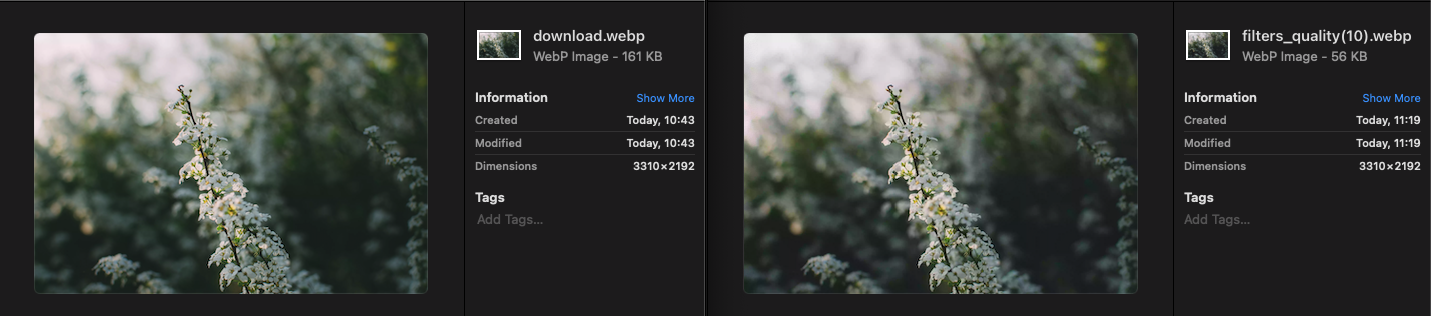 Default quality compressed image VS Quality 10% compressed image