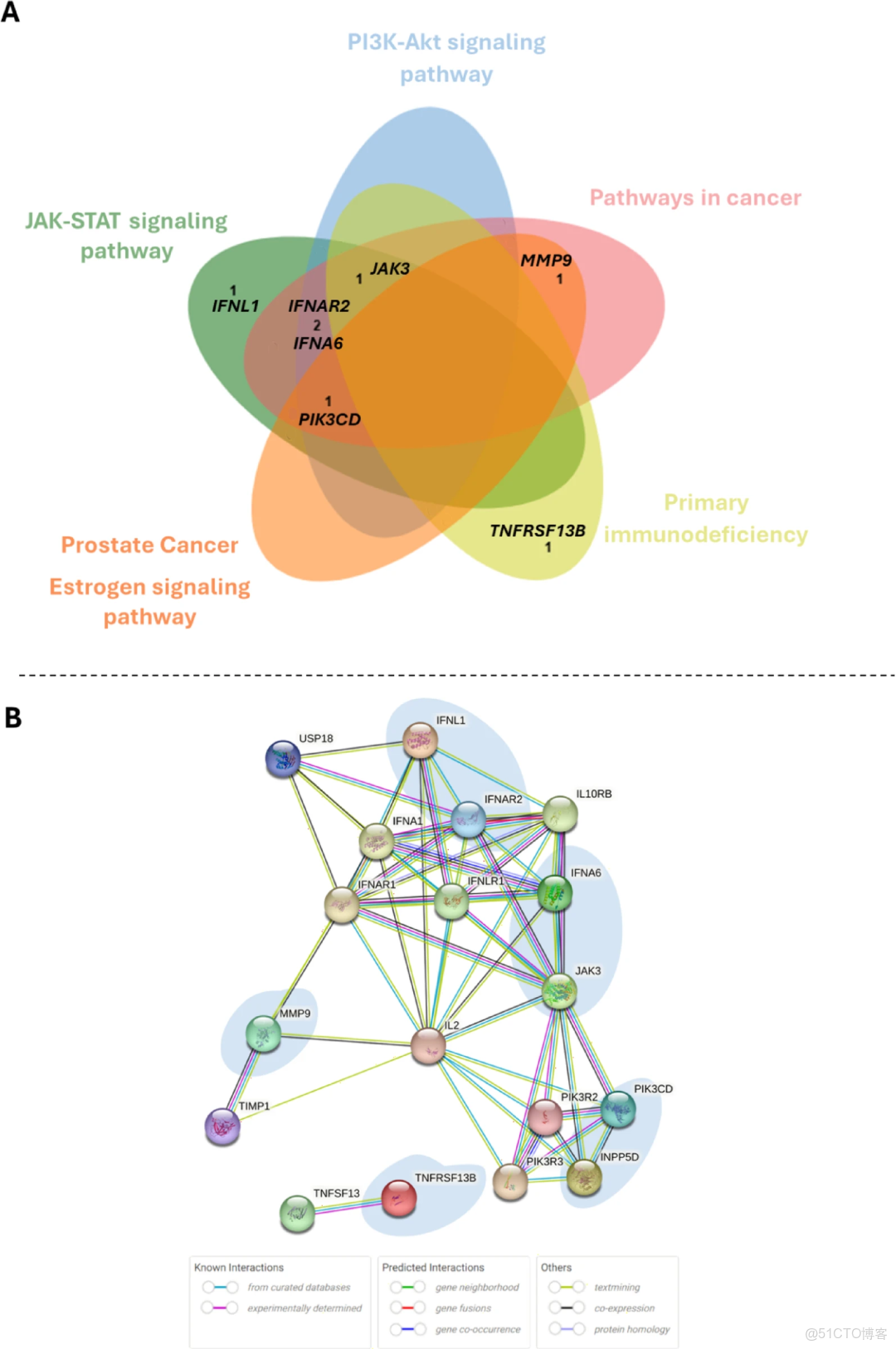 遺傳病、罕見病、腫瘤、家系最新文獻目錄 2025/04/19~11/25 全96篇_Pan_08